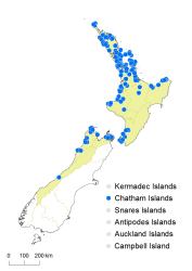 Trichomanes elongatum distribution map based on databased records at AK, CHR, OTA and WELT. 
 Image: K. Boardman © Landcare Research 2016 CC BY 3.0 NZ